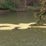 Floating Golden (F)oil. Artists: Tanya Atanasova & Thomas van Walle