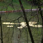 Floating Golden (F)oil. Artists: Tanya Atanasova & Thomas van Walle