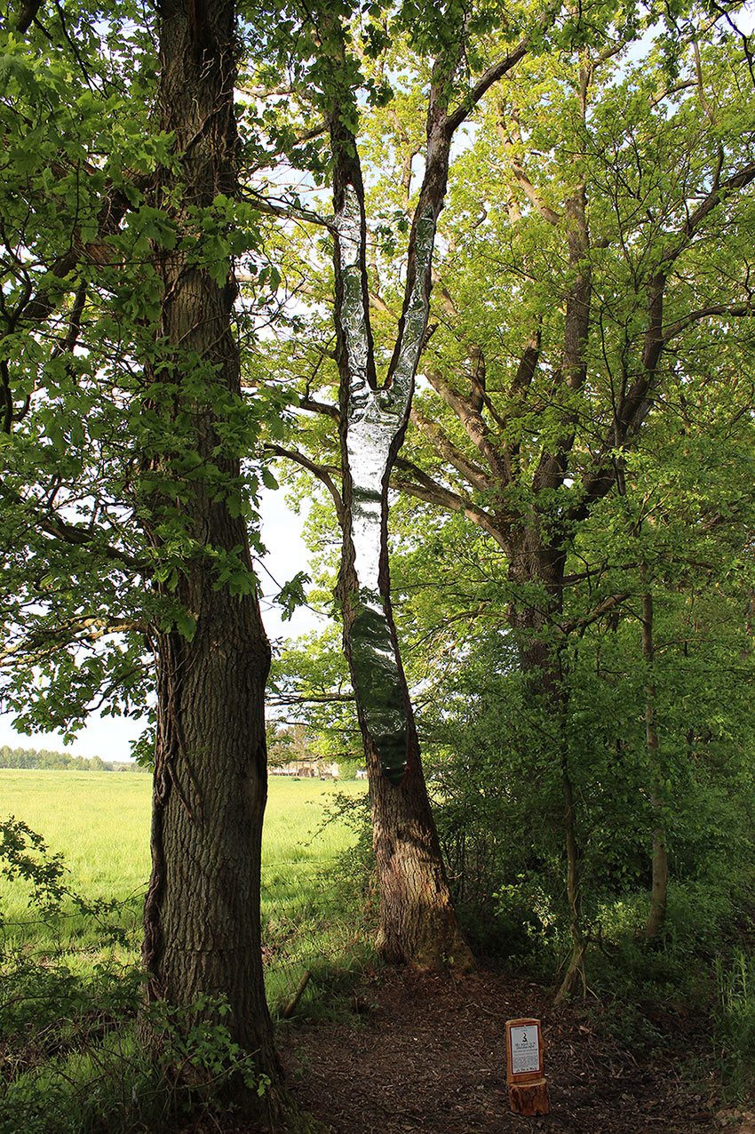 LandArt installation, Gesves, Belgium, 2016. Artist Tanya Atanasova