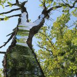 LandArt installation, Gesves, Belgium, 2016. Artist Tanya Atanasova
