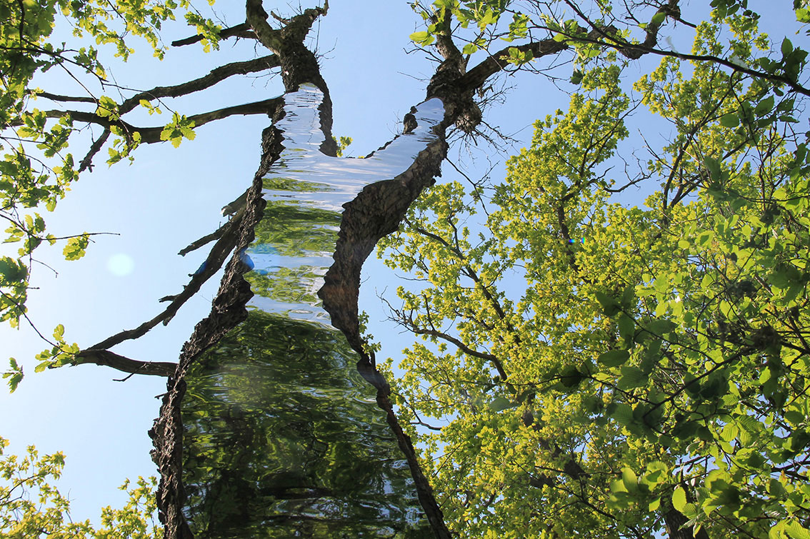 LandArt installation, Gesves, Belgium, 2016. Artist Tanya Atanasova