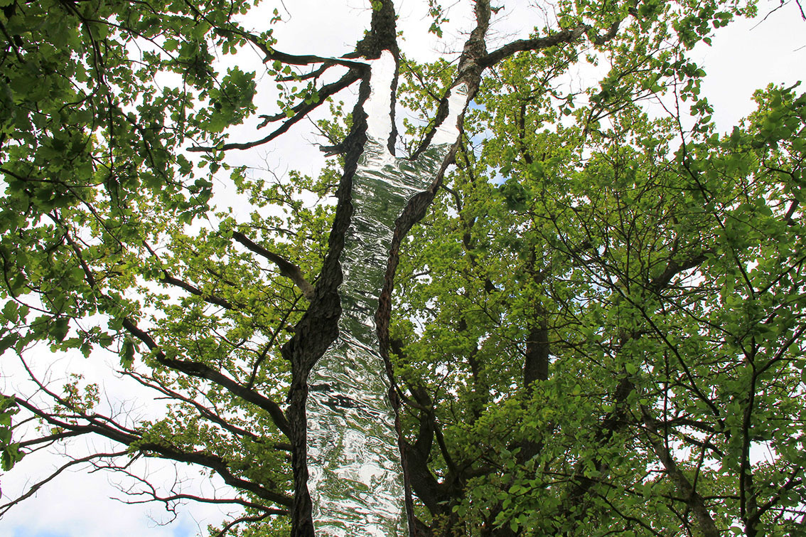 LandArt installation, Gesves, Belgium, 2016. Artist Tanya Atanasova