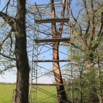 LandArt installation, Gesves, Belgium, 2016. Artist Tanya Atanasova