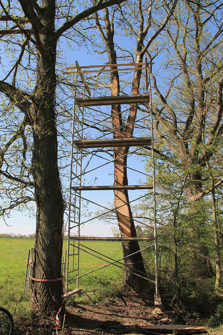 LandArt installation, Gesves, Belgium, 2016. Artist Tanya Atanasova