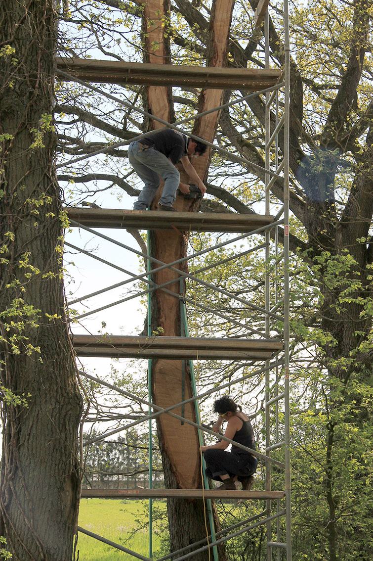 LandArt installation, Gesves, Belgium, 2016. Artist Tanya Atanasova