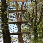 LandArt installation, Gesves, Belgium, 2016. Artist Tanya Atanasova