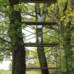 LandArt installation, Gesves, Belgium, 2016. Artist Tanya Atanasova