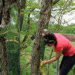 LandArt installation, Gesves, Belgium, 2016. Artist Tanya Atanasova