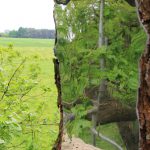 LandArt installation, Gesves, Belgium, 2016. Artist Tanya Atanasova