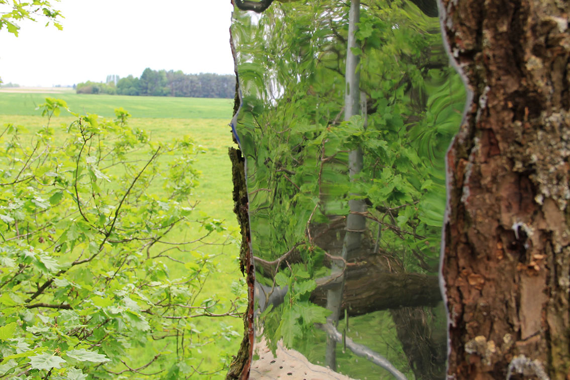 LandArt installation, Gesves, Belgium, 2016. Artist Tanya Atanasova