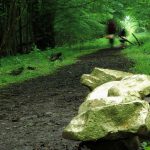 Land Art installation Golden Rocks. Stones covered in gold leaf. Contrast between gold and mud. Artist Tanya Atanasova