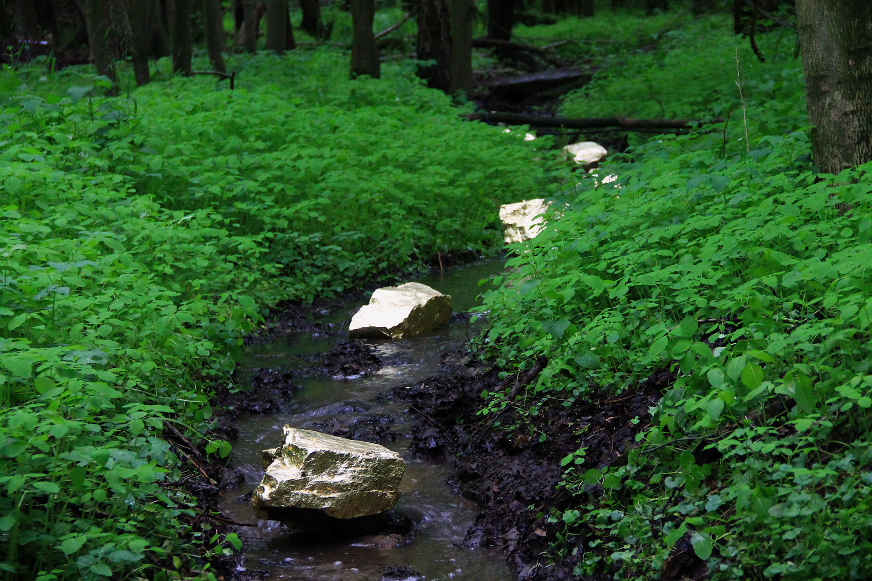 Land Art installation Golden Rocks. Stones covered in gold leaf. Contrast between gold and mud. Artist Tanya Atanasova