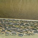 Ceramics installation on sand. Background - drawing on paper. Artist Tanya Atanasova